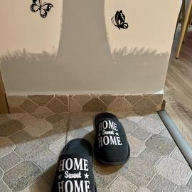 “Home sweet home”，位于Sîntandrei的酒店