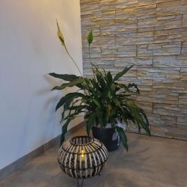 Wellness Ferienhaus，位于梅谢尼希的酒店