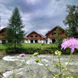 AlpiNest Feriendorf Lungau，位于玛丽亚普法尔的酒店