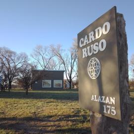 Cardo Ruso Cabaña，位于Toay的酒店