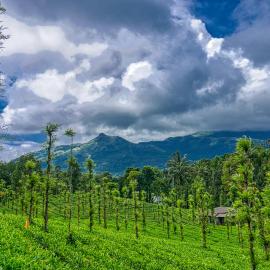 Ende Wayanad Resort，位于Koroth的酒店