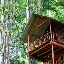 ELLA Eco Lodge, Wellness & Yoga retreat