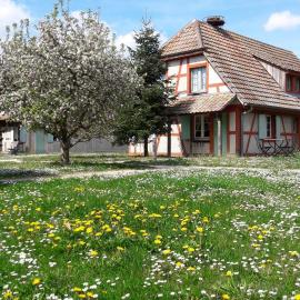 Les Loges de l'Ecomusée D'Alsace，位于温格舍姆的酒店