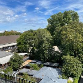Penthouse - Englischer Garten view