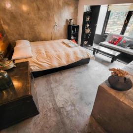 Wolf Totem Lux Backpacker Studio Loft，位于皮萨克的酒店