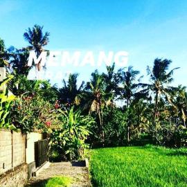 Uda House Saba Beach 2，位于萨巴的酒店