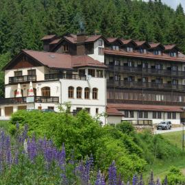Hotel Zieleniec,位于齐莱涅克的酒店