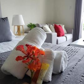 Convenient Studio Apt Near Airport, Beaches & Food，位于Cupecoy的酒店