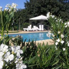 Casa Rural Alameda en Posadas Córdoba，位于波萨达斯的酒店