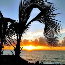 Pahoa Tropical Garden Getaway