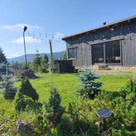 Panoramic Cabin Stânceni，位于Ciobotani的酒店