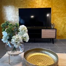 Ferienwohnung Bad Säckingen，位于巴特塞京根的酒店