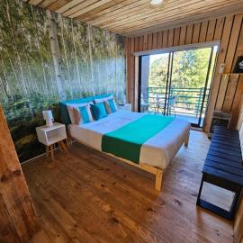 Lodge Los Bosques，位于马坦萨斯的酒店