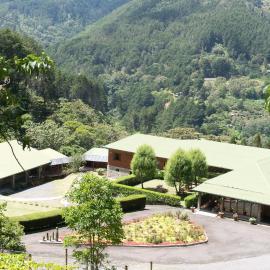 Hacienda La Lucha，位于Lucha的酒店