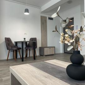 Comfort & Luxury Apartaments PNMresidence，位于蒂米什瓦拉的酒店