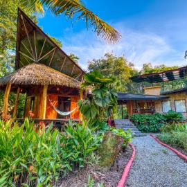 Tree House Beachfront Lodge，位于别霍港的酒店