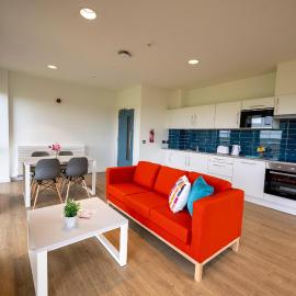 University of Galway Apartments，位于戈尔韦的酒店