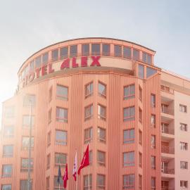 Hotel Alex Business & SPA，位于纳特斯的酒店