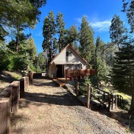Sequoia National Forest CabinD，位于Panorama Heights的酒店