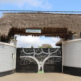 Mapeni Lodge，位于Kidenge的酒店