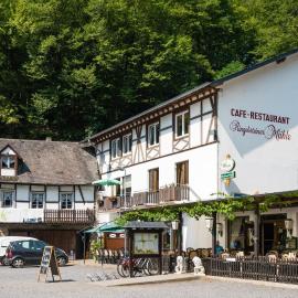 Landhotel Ringelsteiner Mühle，位于摩泽尔肯的酒店