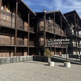 Chalet Edelweiss - Gruppo Estella Hotels，位于塞斯特雷的酒店