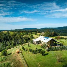 The Tree House Bellingen，位于Thora的酒店