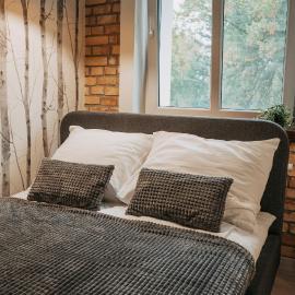 Niron Apartament Kapucyńska，位于皮拉的酒店
