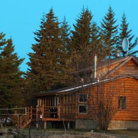 Bear Den Vacation Home，位于Anchor Point的酒店