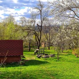 Friendship Cabin (Friendship Land)，位于Şelari的酒店