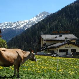 Hotel Restaurant Walserhof，位于Medels im Rheinwald的酒店