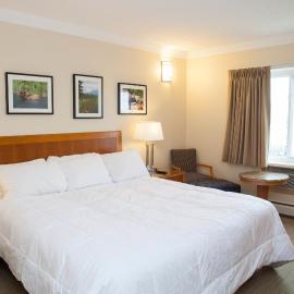 Twin Pine Inn & Suites，位于欣顿的酒店