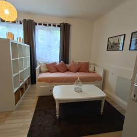 Ferienwohnung Strohblume，位于拉斯特的酒店