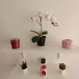 Hospedaje "La Gloria"，位于Texcoco de Mora的酒店