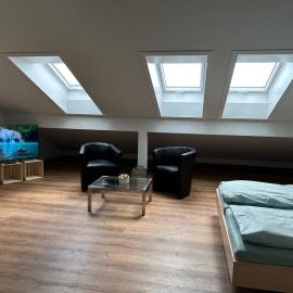 Neue Einzimmer Dachwohnung，位于Seengen的酒店