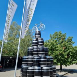 BIRKENHOF GOLS - B & B - Wohlfühl Hotel mit Wochenend-Restaurant，位于戈尔斯的酒店