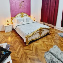 Royal 5* mansion near central square，位于克卢日-纳波卡的酒店