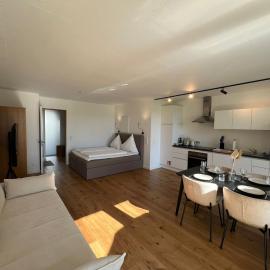 Urban Lodges - Studio Apartments am Seerhein，位于康斯坦茨的酒店