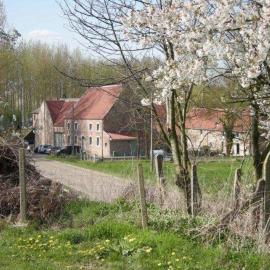 De Verborgen Parel B&B，位于博尔赫隆的酒店