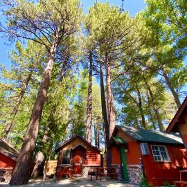 The Village Cabins，位于大熊湖的酒店