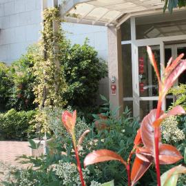 Hotel Cremona Viale，位于克雷莫纳的酒店