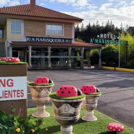Hotel A Marisqueira I Aeropuerto A Coruña,位于奥莱罗斯的酒店
