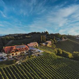 Mahorko Wein Wellness Wasserbüffel，位于韦因道旁格兰茨的酒店