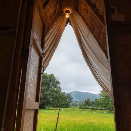 Paddy Fields Haven - Natures Nest, Mountain View in Pai，位于拜县的酒店