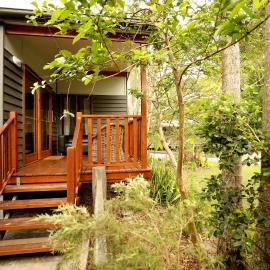 Mt Warning Rainforest Park，位于Mount Warning的酒店