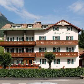 Albergo Trentino，位于莫埃纳的酒店