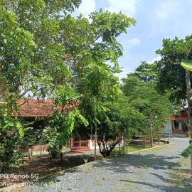 Homestay Mẹ Khang 2,ngay Địa Đạo Củ Chi Bến Đình，位于Cu Chi的酒店