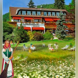 Wellness und Romantik Hotel Landhaus Helmboldt Helmboldt，位于巴特萨克萨的酒店