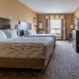 Best Western Plus South Edmonton Inn & Suites，位于埃德蒙顿的酒店