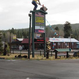 The Woodsman Country Lodge Motel，位于Crescent的酒店